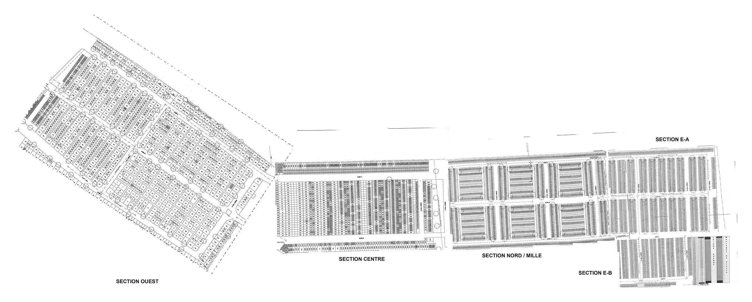 Overall plan — the five sheets of the 2021 survey joined as they lie on the ground, like the office wall map.